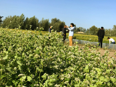 活动丨首届开鲁“相约幸福”文化旅游节暨9·16螃蟹节,今天开幕啦!