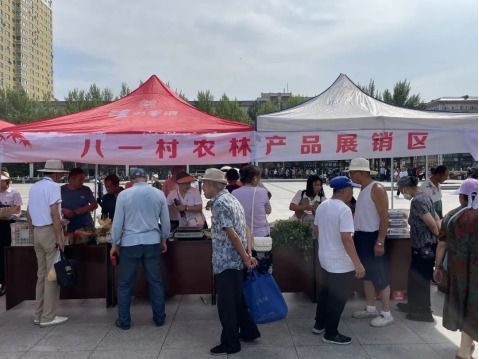 锚定助农坐标 奏响振兴强音 桦南县石头河子镇第二届农林产品展销节盛大开幕