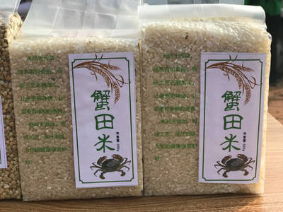 活动丨首届开鲁“相约幸福”文化旅游节暨9·16螃蟹节,今天开幕啦!