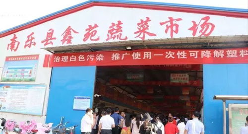 濮阳这个县太棒了 6 5世界环境日剑指白色污染,全面推广可降解塑料制品