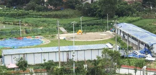 再通报 又4起破坏生态环境 检察院介入