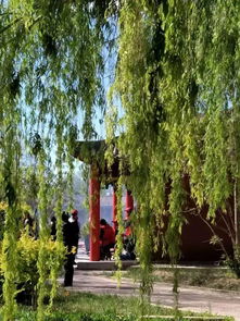 开鲁古榆庙会精彩纷呈,初夏祈福乐享民俗大餐