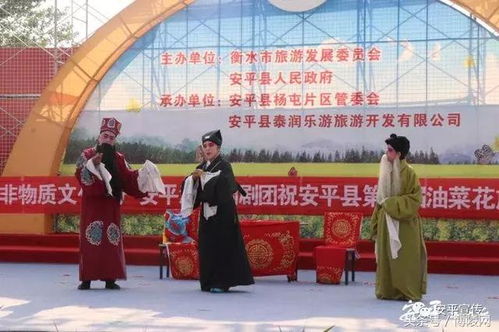 安平县 河西调 亮相第二届油菜花文化旅游节