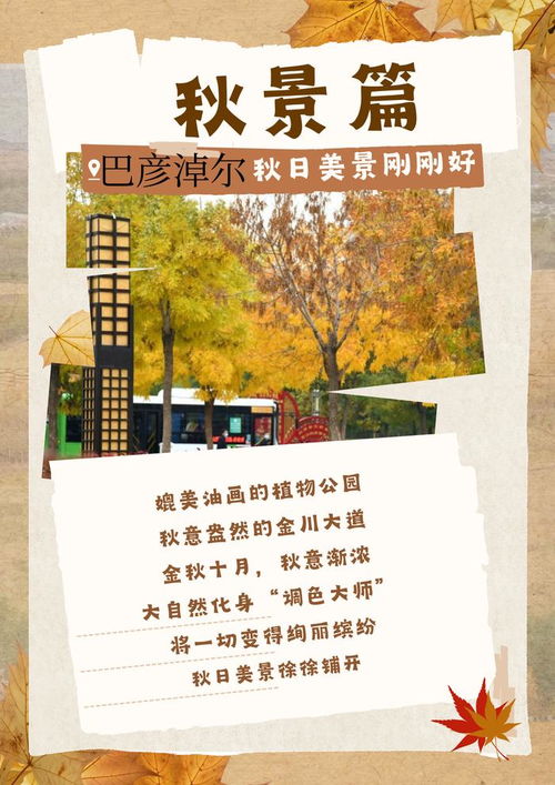 不冷不热不焦不燥 品内蒙古秋天的浓郁风情