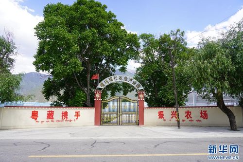 援藏力量助高原农场焕新颜