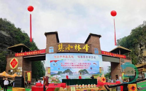 万人相约英德 大豆制品盛宴 这场大豆文化节场面空前壮观