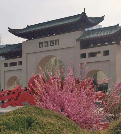 旅行 送你一份开鲁游玩攻略,莫负好春光