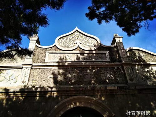 我爱开鲁城