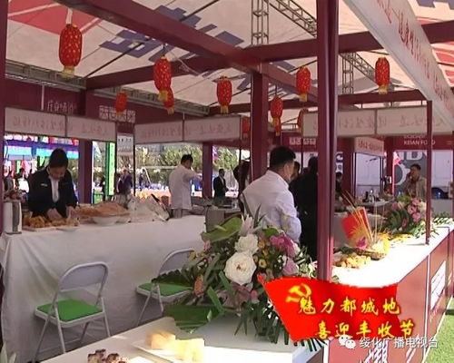 寒地黑土优质农产品叫响水稻文化节