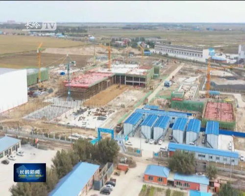 长岭 中粮集团系列项目建设 火力全开 实现经济高质量发展新突破